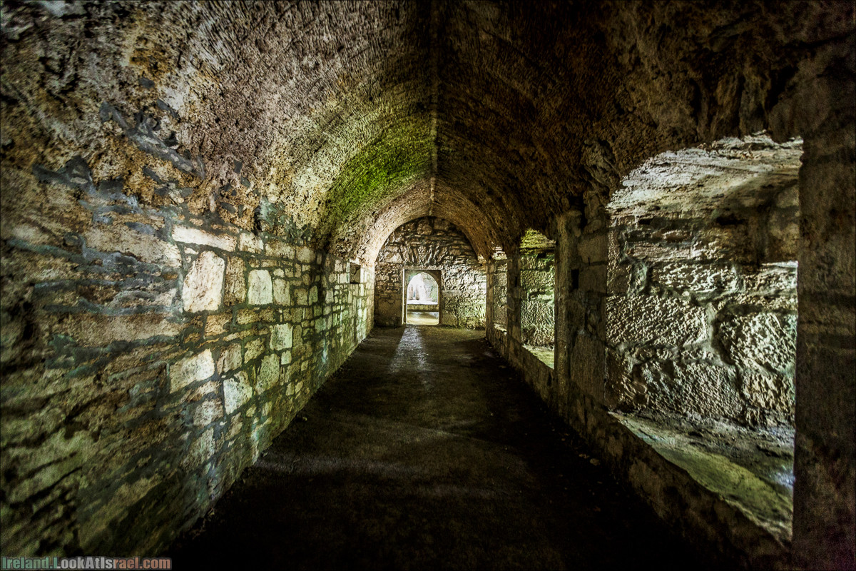 Кольцо Керри, Парк Килларни, озеро Лох-Лейн, аббатство Макрос | The Ring of Kerry, Kellareny Park, Muckross Abbey, Lough Leane | LookAtIsrael.com путешествует по Ирландии