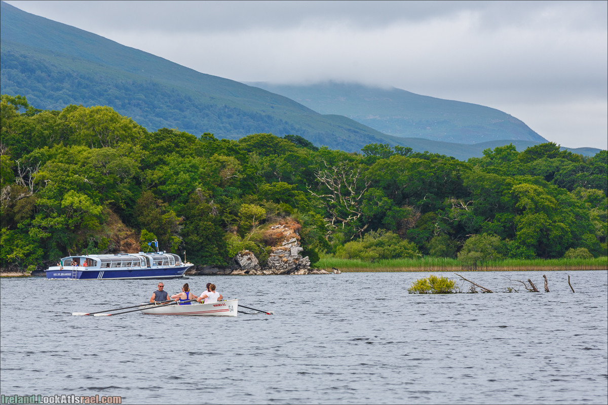 Кольцо Керри, Парк Килларни, озеро Лох-Лейн, аббатство Макрос | The Ring of Kerry, Kellareny Park, Muckross Abbey, Lough Leane | LookAtIsrael.com путешествует по Ирландии