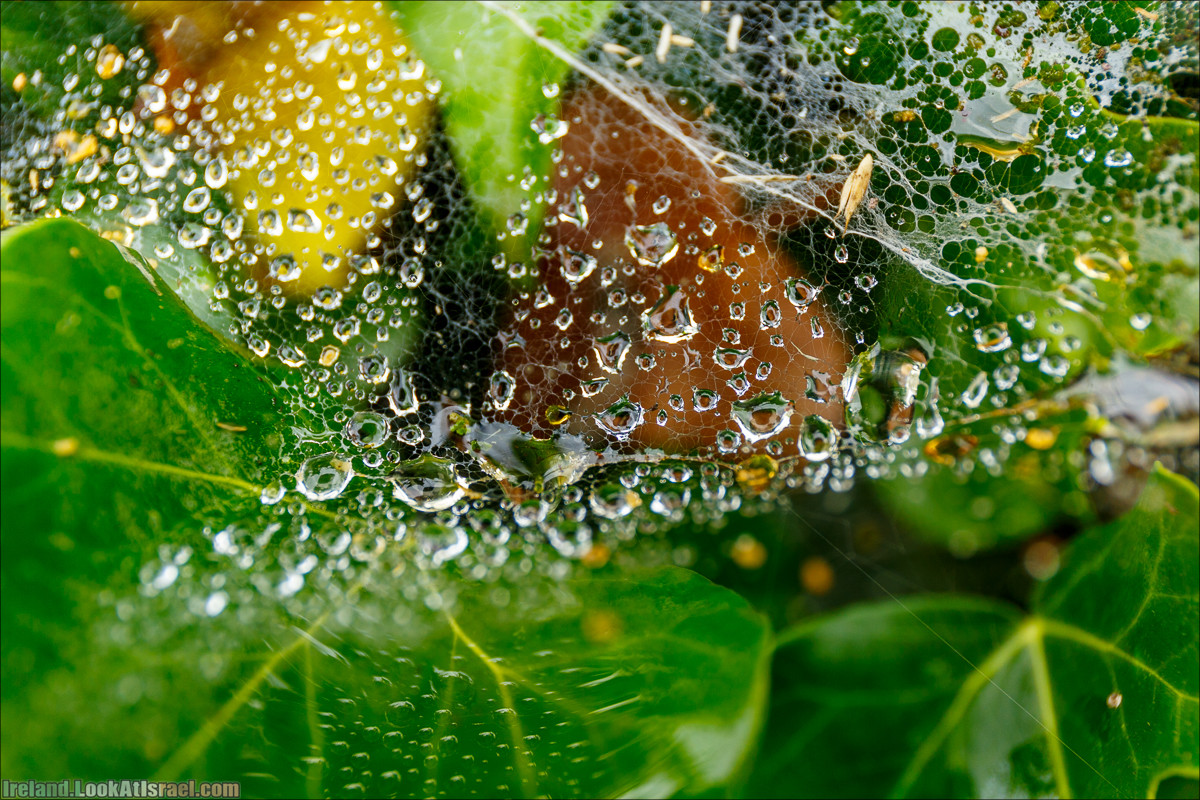 Кольцо Керри, Уотервиль | The Ring of Kerry, Waterville | LookAtIsrael.com путешествует по Ирландии