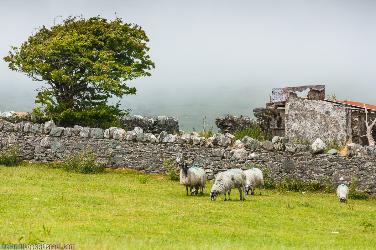 Кольцо Керри, Кенамар и виды Ирландинн | The Ring of Kerry, Kenmare | LookAtIsrael.com путешествует по Ирландии