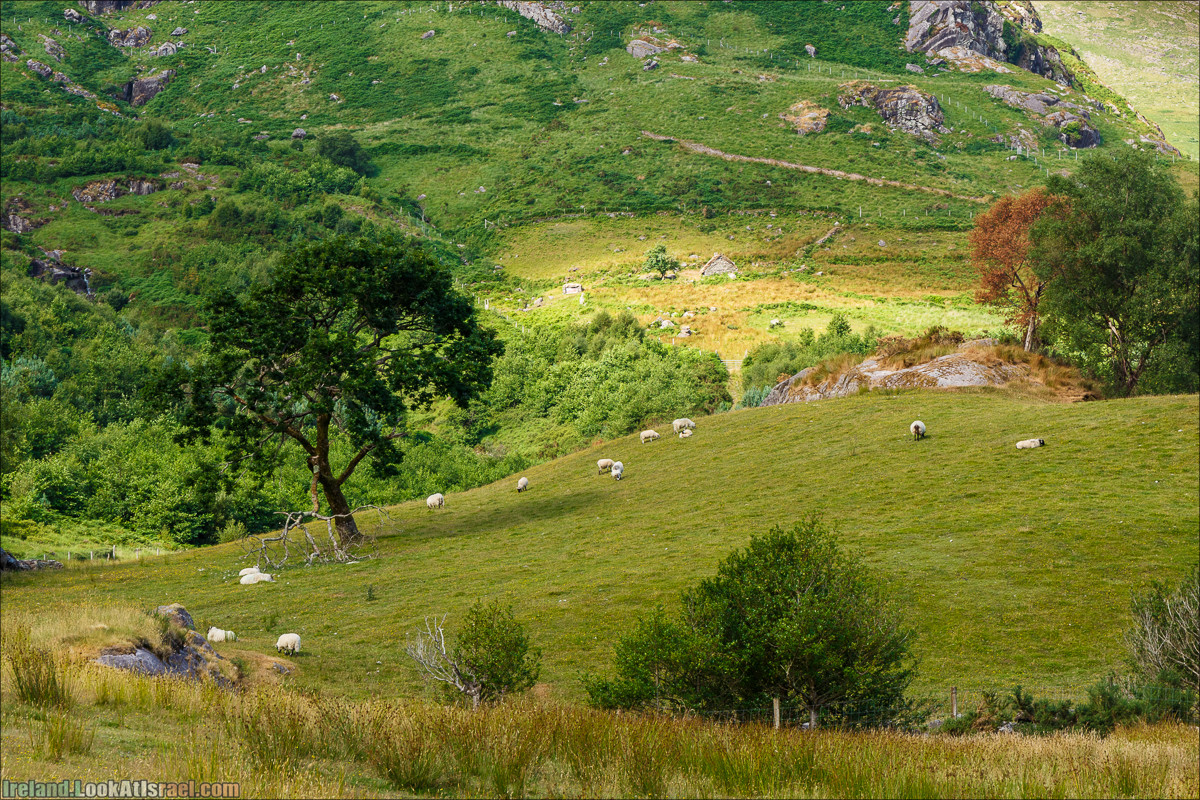Кольцо Беара, каменное колцо Юраа и вододад парка Гленинчакин | The Ring of Beara, Uragh Stone Circle, Gleninchaquin Park & Waterfall | LookAtIsrael.com путешествует по Ирландии