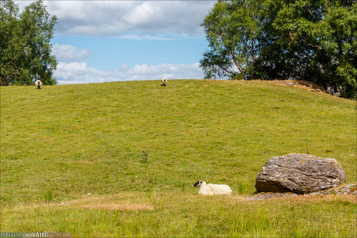 Кольцо Беара, каменное колцо Юраа и вододад парка Гленинчакин | The Ring of Beara, Uragh Stone Circle, Gleninchaquin Park & Waterfall | LookAtIsrael.com путешествует по Ирландии