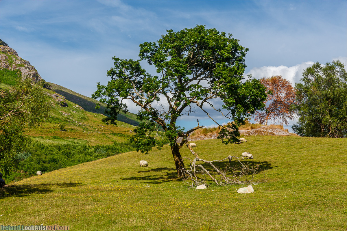 Кольцо Беара, каменное колцо Юраа и вододад парка Гленинчакин | The Ring of Beara, Uragh Stone Circle, Gleninchaquin Park & Waterfall | LookAtIsrael.com путешествует по Ирландии