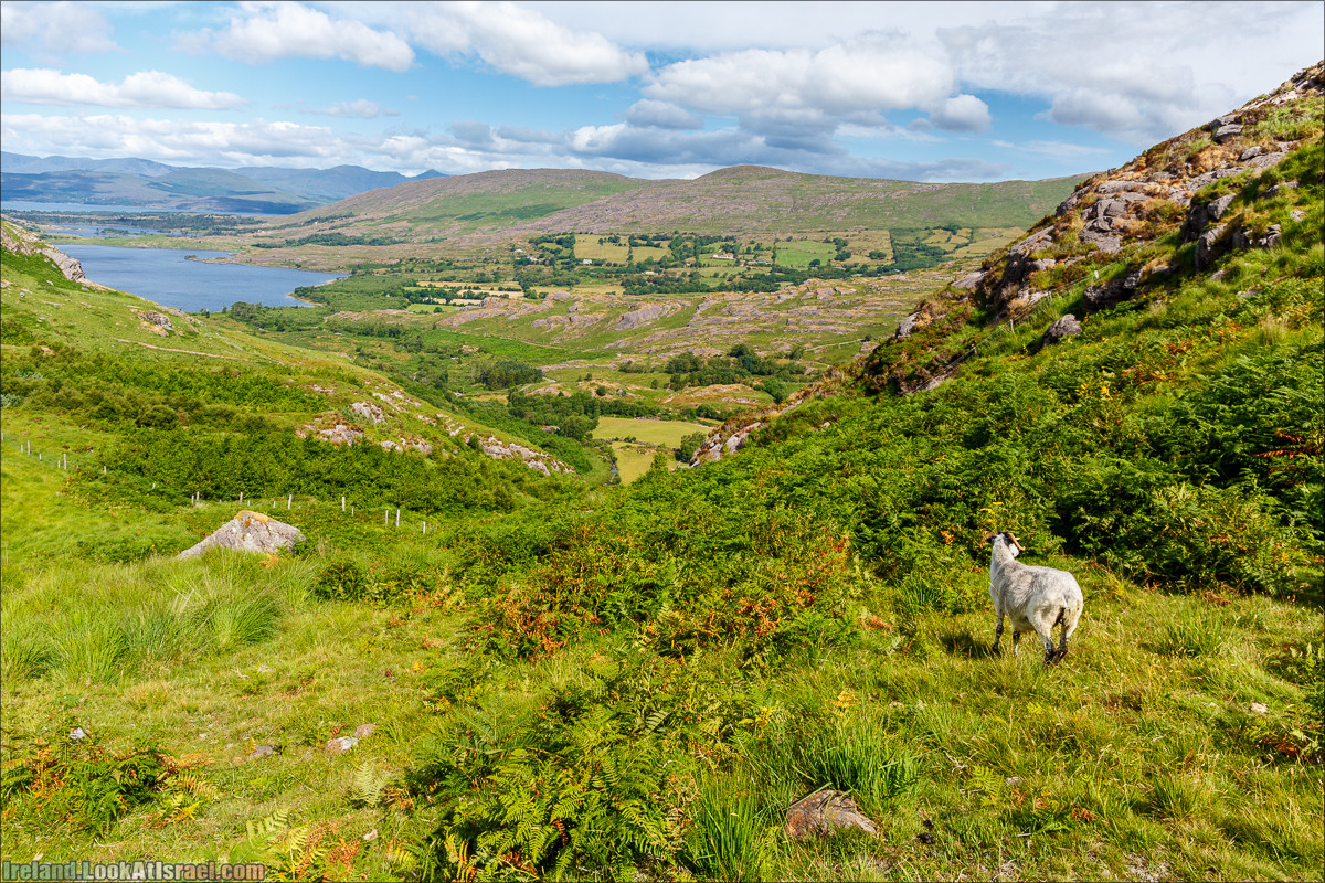 Кольцо Беара, каменное колцо Юраа и вододад парка Гленинчакин | The Ring of Beara, Uragh Stone Circle, Gleninchaquin Park & Waterfall | LookAtIsrael.com путешествует по Ирландии