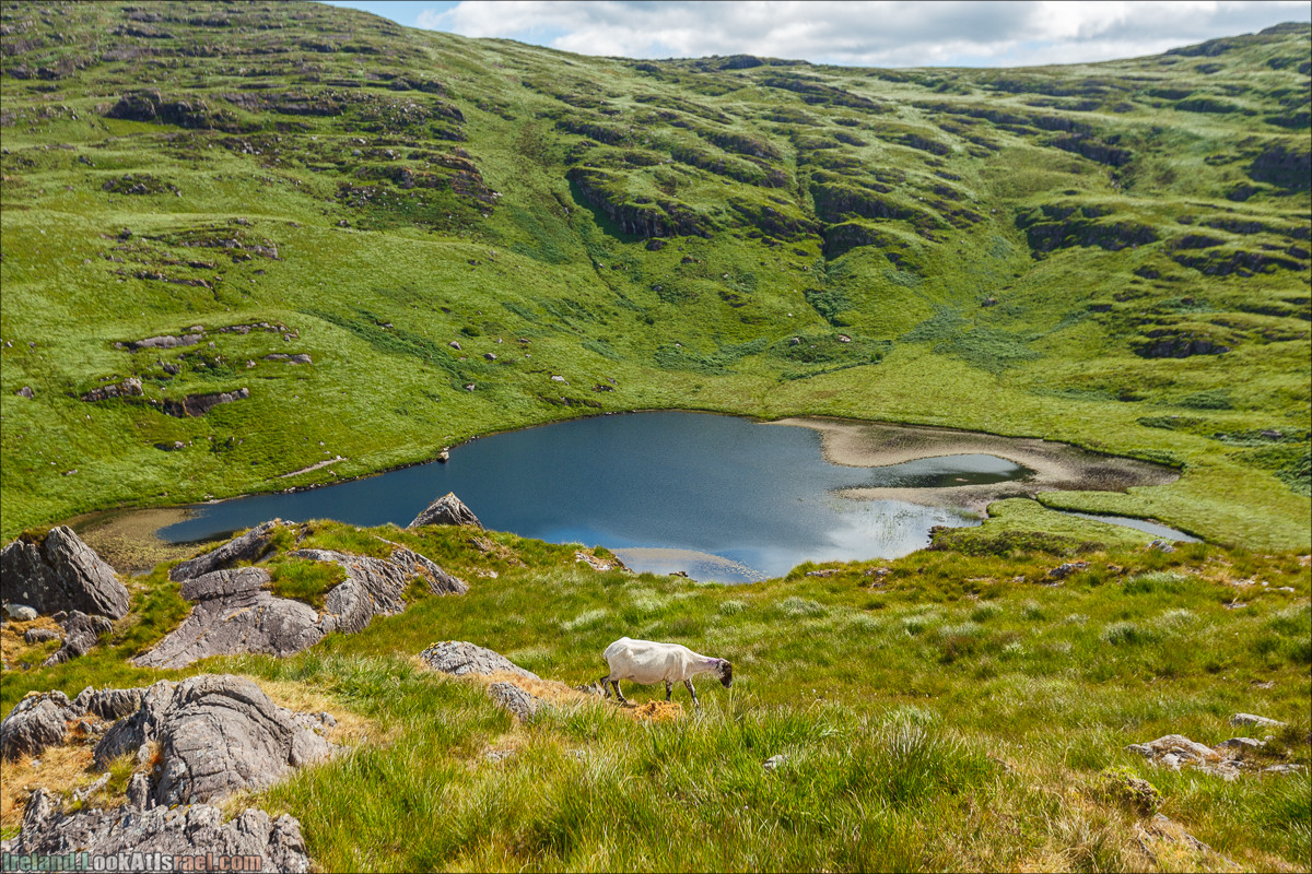 Кольцо Беара, каменное колцо Юраа и вододад парка Гленинчакин | The Ring of Beara, Uragh Stone Circle, Gleninchaquin Park & Waterfall | LookAtIsrael.com путешествует по Ирландии