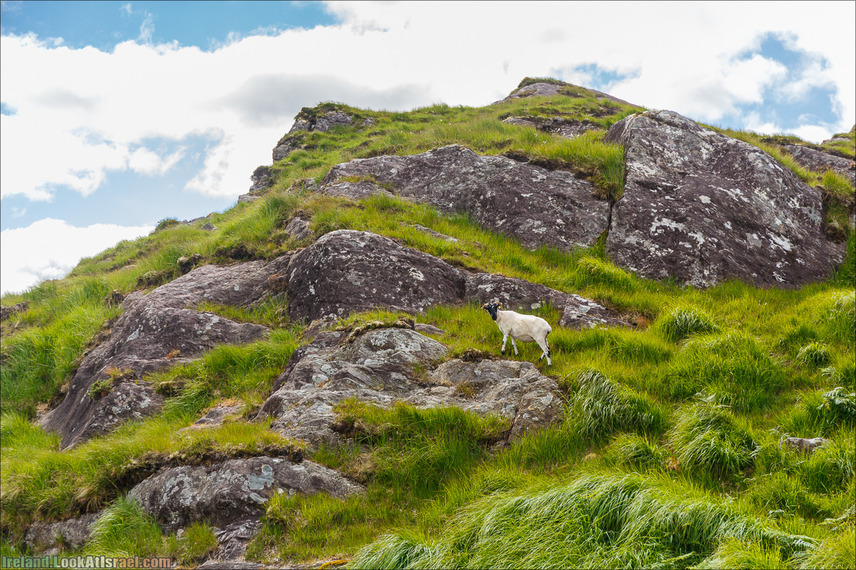 Кольцо Беара, каменное колцо Юраа и вододад парка Гленинчакин | The Ring of Beara, Uragh Stone Circle, Gleninchaquin Park & Waterfall | LookAtIsrael.com путешествует по Ирландии