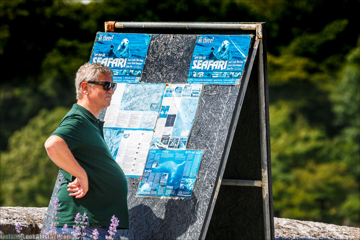 Seafari с тюленями в заливе Кенмар | The Ring of Beara, Uragh Stone Circle, Gleninchaquin Park & Waterfall | LookAtIsrael.com путешествует по Ирландии