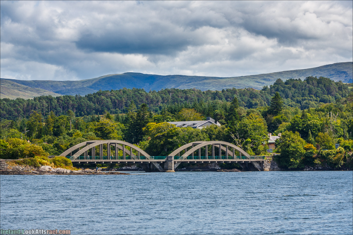 Seafari с тюленями в заливе Кенмар | The Ring of Beara, Uragh Stone Circle, Gleninchaquin Park & Waterfall | LookAtIsrael.com путешествует по Ирландии