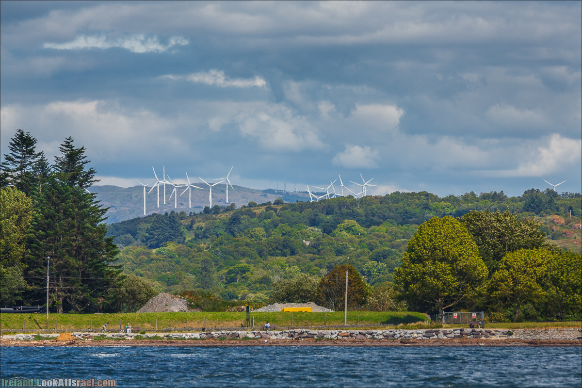 Seafari с тюленями в заливе Кенмар | The Ring of Beara, Uragh Stone Circle, Gleninchaquin Park & Waterfall | LookAtIsrael.com путешествует по Ирландии