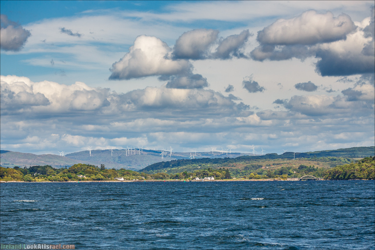 Seafari с тюленями в заливе Кенмар | The Ring of Beara, Uragh Stone Circle, Gleninchaquin Park & Waterfall | LookAtIsrael.com путешествует по Ирландии