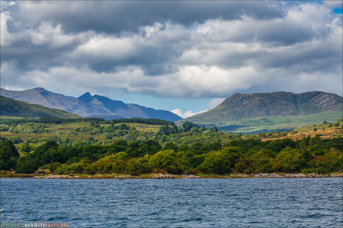 Seafari с тюленями в заливе Кенмар | The Ring of Beara, Uragh Stone Circle, Gleninchaquin Park & Waterfall | LookAtIsrael.com путешествует по Ирландии
