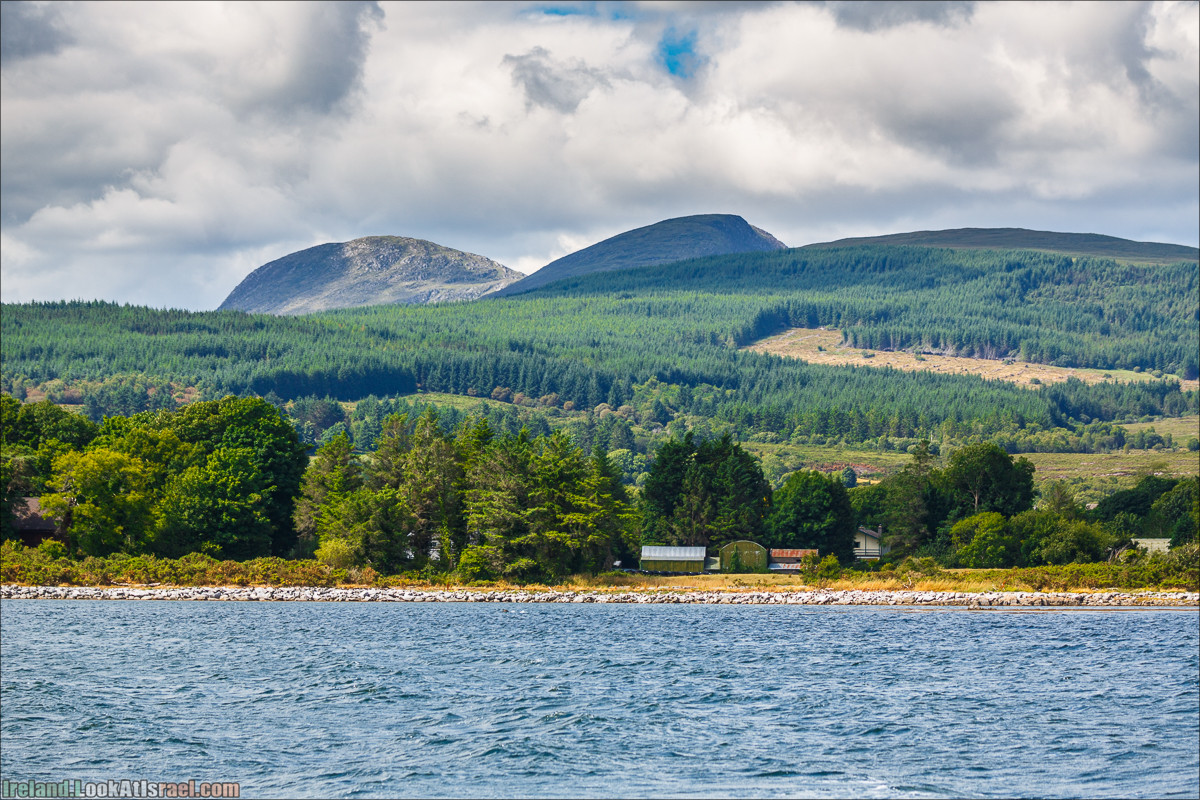 Seafari с тюленями в заливе Кенмар | The Ring of Beara, Uragh Stone Circle, Gleninchaquin Park & Waterfall | LookAtIsrael.com путешествует по Ирландии