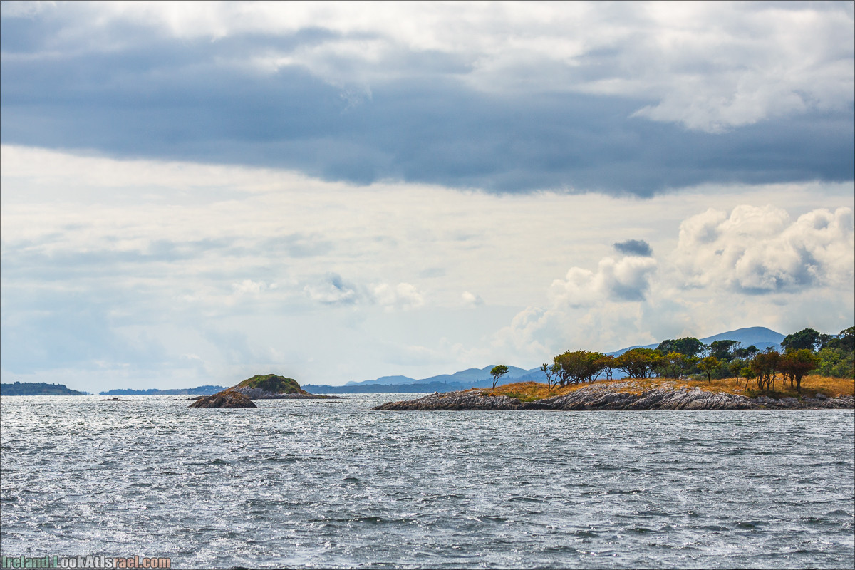 Seafari с тюленями в заливе Кенмар | The Ring of Beara, Uragh Stone Circle, Gleninchaquin Park & Waterfall | LookAtIsrael.com путешествует по Ирландии