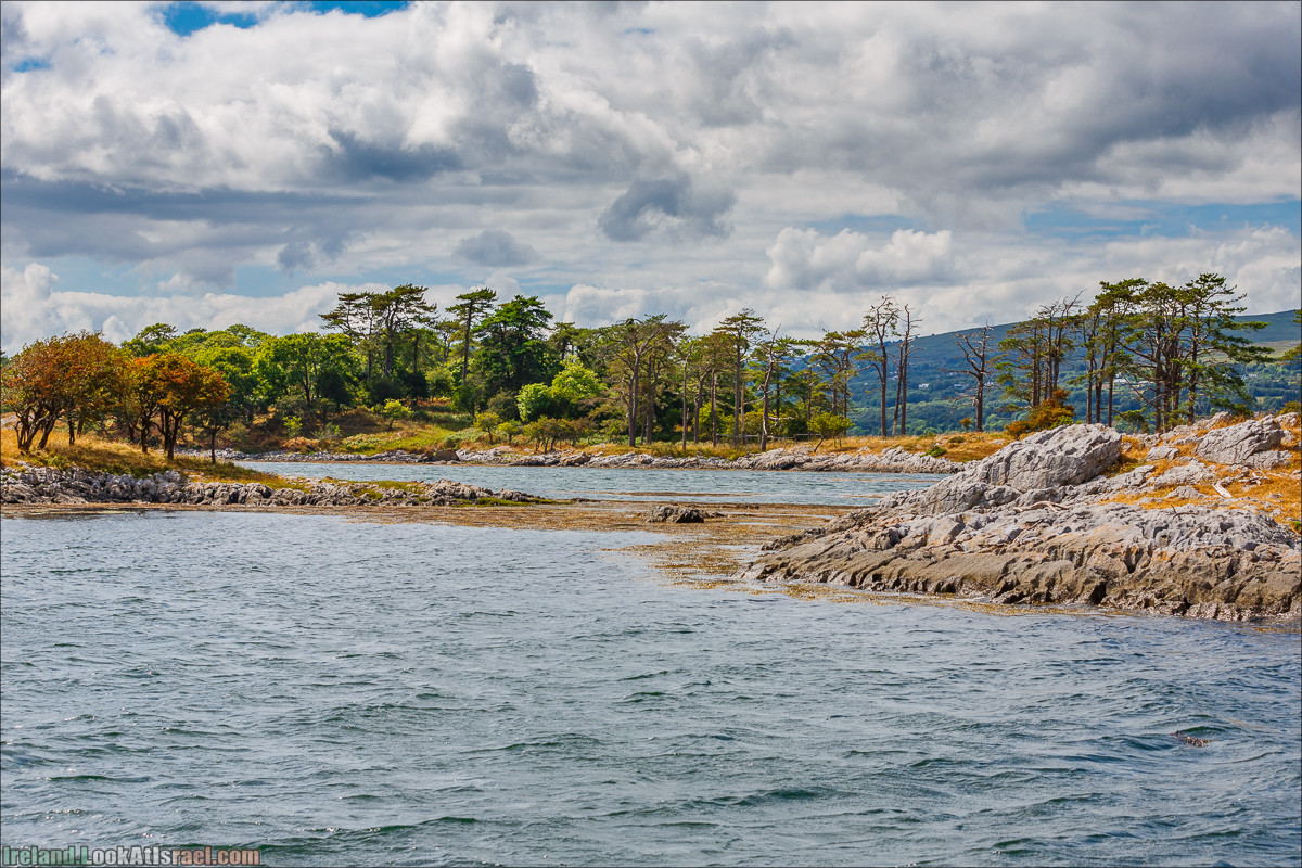 Seafari с тюленями в заливе Кенмар | The Ring of Beara, Uragh Stone Circle, Gleninchaquin Park & Waterfall | LookAtIsrael.com путешествует по Ирландии