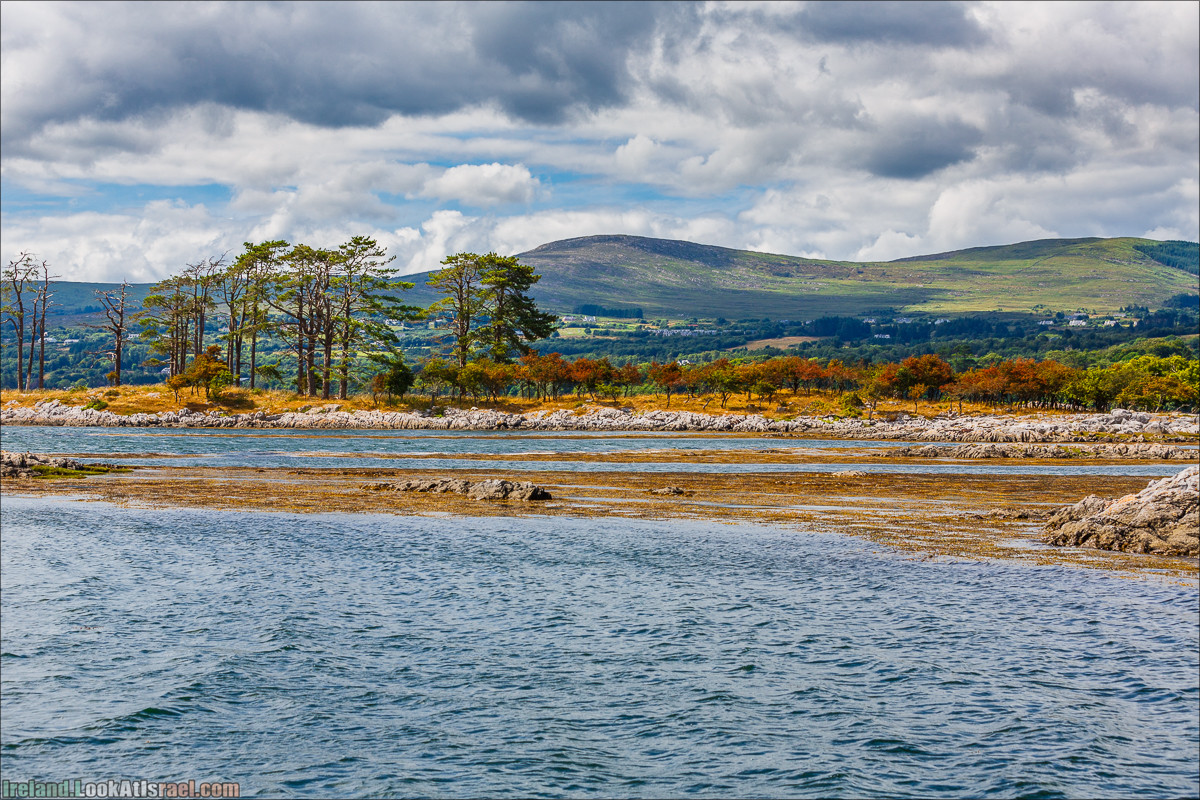 Seafari с тюленями в заливе Кенмар | The Ring of Beara, Uragh Stone Circle, Gleninchaquin Park & Waterfall | LookAtIsrael.com путешествует по Ирландии