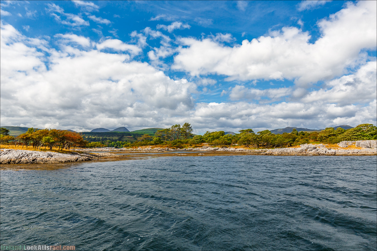 Seafari с тюленями в заливе Кенмар | The Ring of Beara, Uragh Stone Circle, Gleninchaquin Park & Waterfall | LookAtIsrael.com путешествует по Ирландии