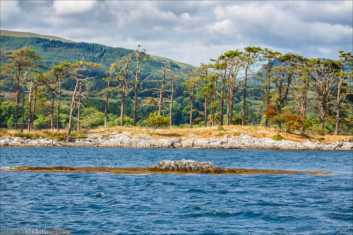 Seafari с тюленями в заливе Кенмар | The Ring of Beara, Uragh Stone Circle, Gleninchaquin Park & Waterfall | LookAtIsrael.com путешествует по Ирландии