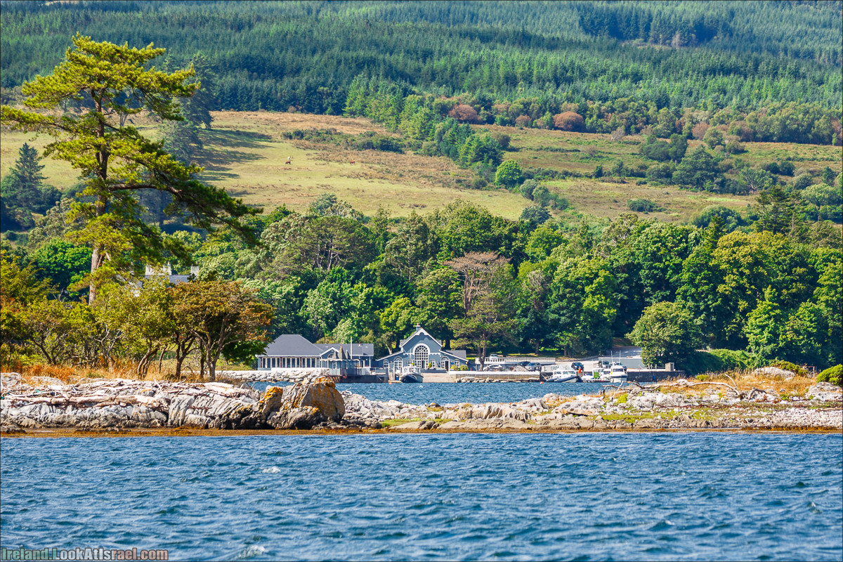 Seafari с тюленями в заливе Кенмар | The Ring of Beara, Uragh Stone Circle, Gleninchaquin Park & Waterfall | LookAtIsrael.com путешествует по Ирландии