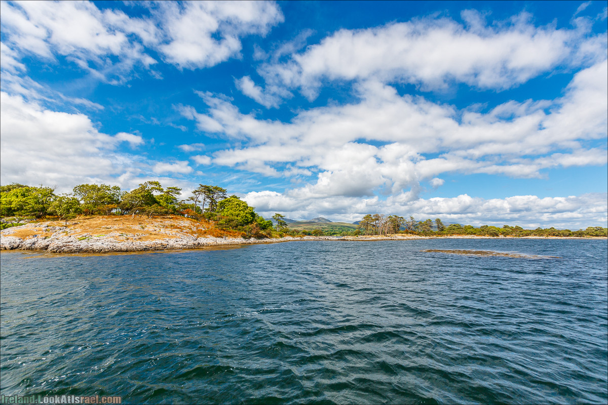 Seafari с тюленями в заливе Кенмар | The Ring of Beara, Uragh Stone Circle, Gleninchaquin Park & Waterfall | LookAtIsrael.com путешествует по Ирландии