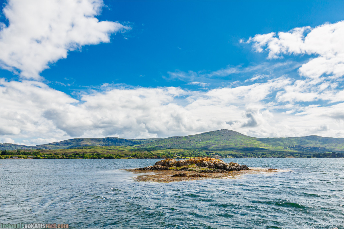 Seafari с тюленями в заливе Кенмар | The Ring of Beara, Uragh Stone Circle, Gleninchaquin Park & Waterfall | LookAtIsrael.com путешествует по Ирландии