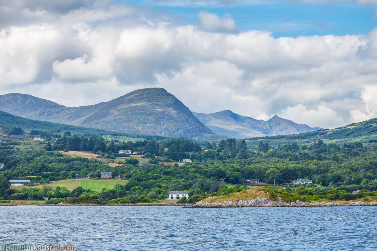 Seafari с тюленями в заливе Кенмар | The Ring of Beara, Uragh Stone Circle, Gleninchaquin Park & Waterfall | LookAtIsrael.com путешествует по Ирландии