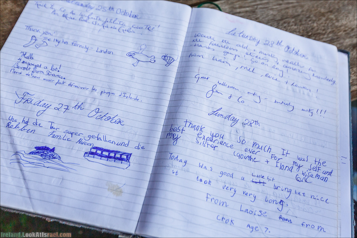 Seafari с тюленями в заливе Кенмар | The Ring of Beara, Uragh Stone Circle, Gleninchaquin Park & Waterfall | LookAtIsrael.com путешествует по Ирландии