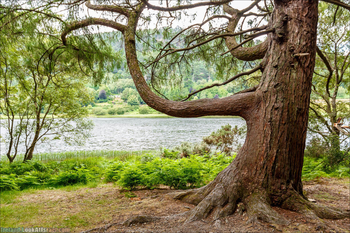 Парк и озера Глендалох | Glendalough | LookAtIsrael.com путешествует по Ирландии