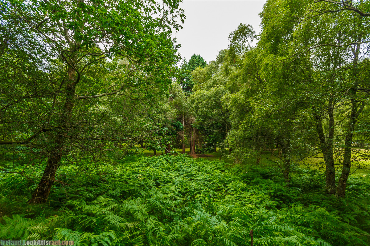 Парк и озера Глендалох | Glendalough | LookAtIsrael.com путешествует по Ирландии