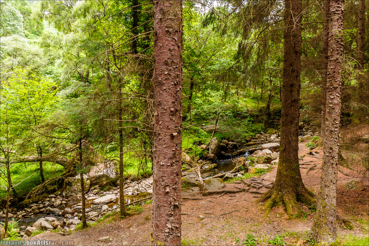 Парк и озера Глендалох | Glendalough | LookAtIsrael.com путешествует по Ирландии