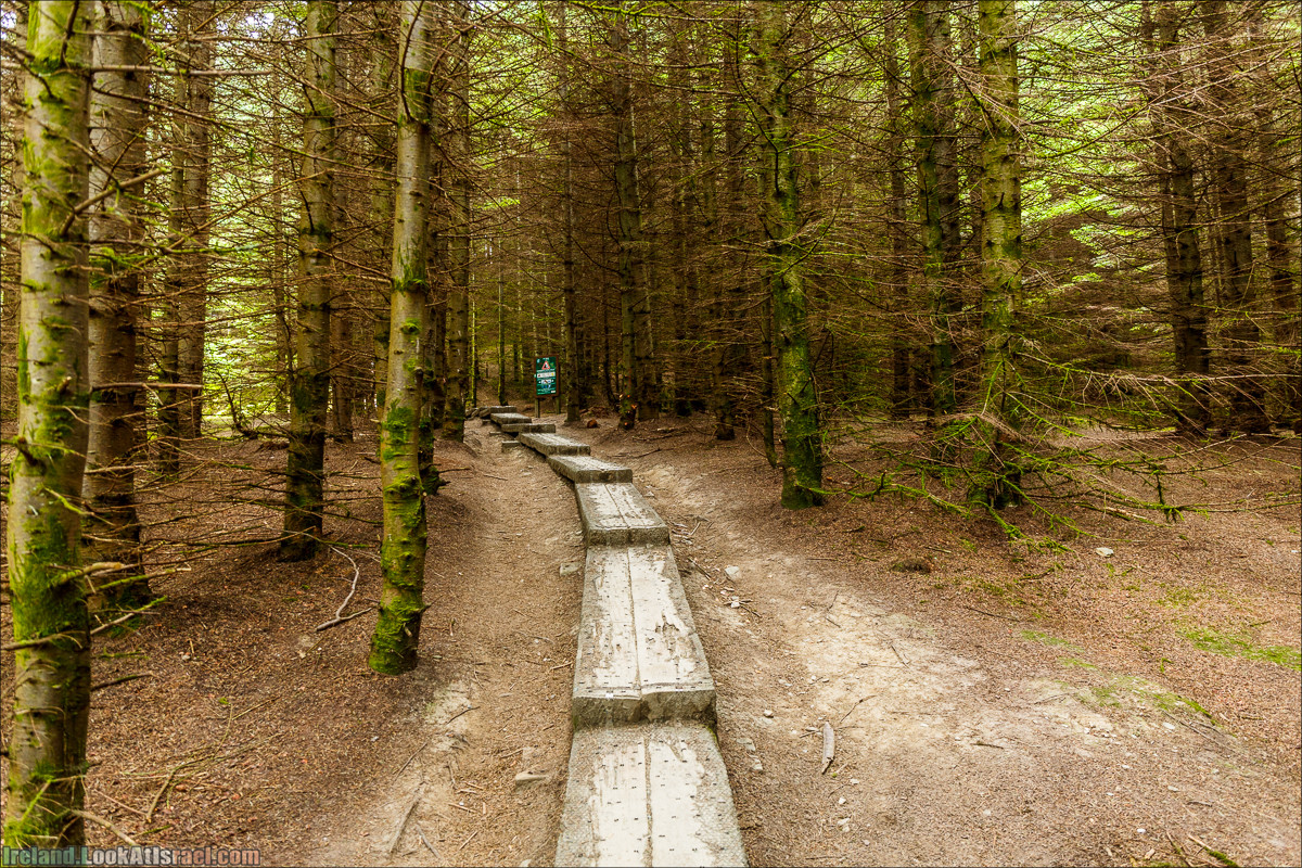 Парк и озера Глендалох | Glendalough | LookAtIsrael.com путешествует по Ирландии