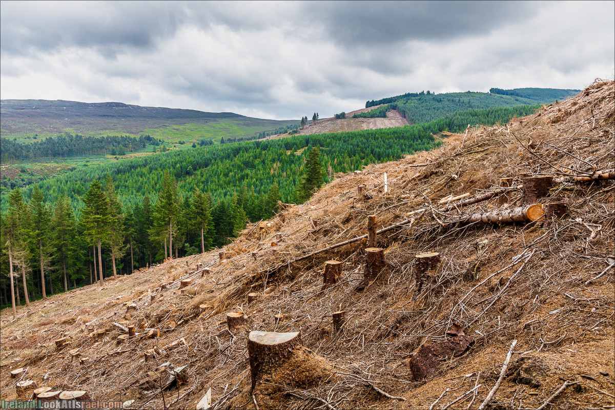 Парк и озера Глендалох | Glendalough | LookAtIsrael.com путешествует по Ирландии