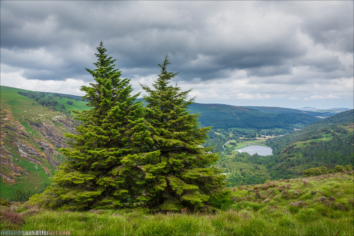 Парк и озера Глендалох | Glendalough | LookAtIsrael.com путешествует по Ирландии
