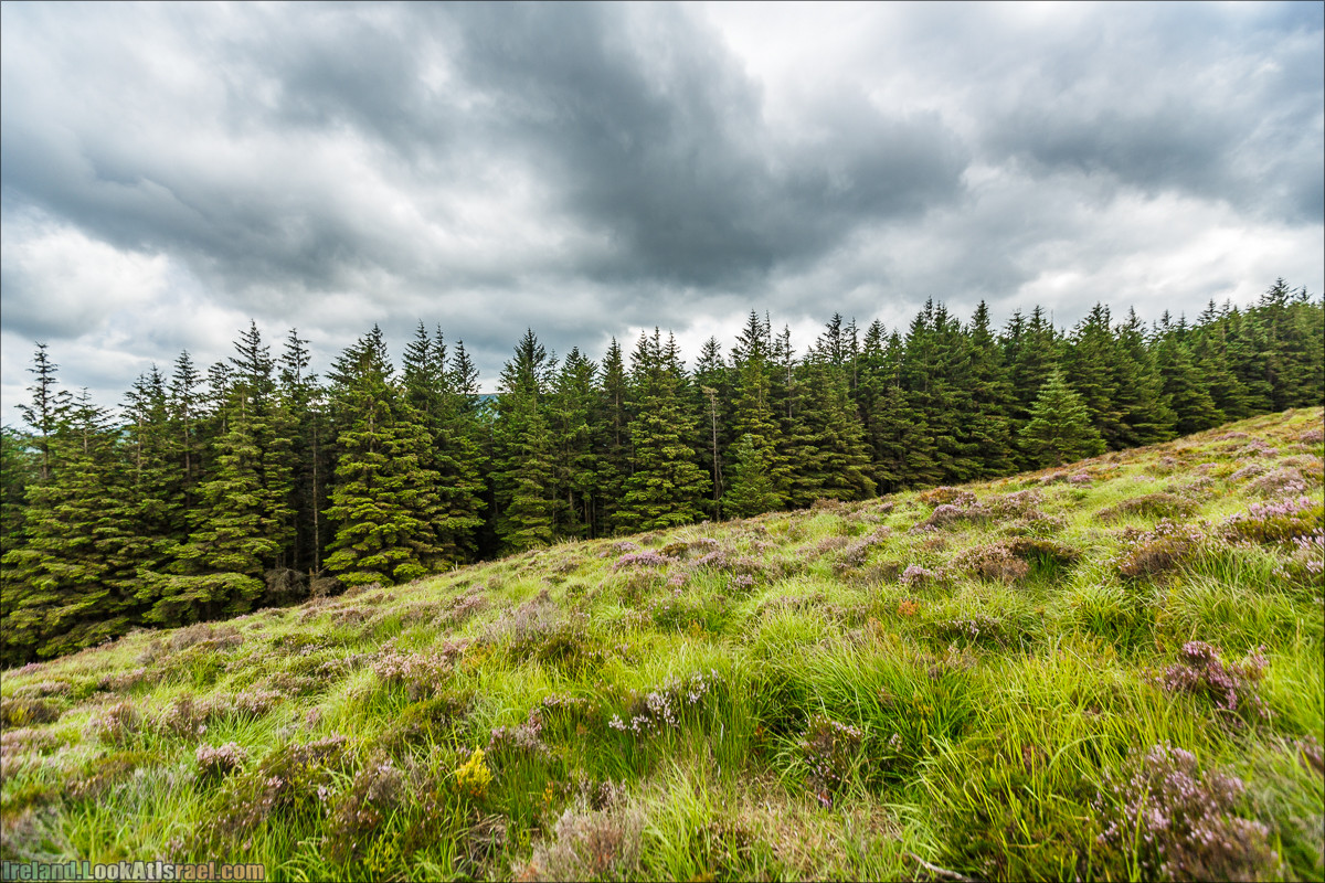 Парк и озера Глендалох | Glendalough | LookAtIsrael.com путешествует по Ирландии
