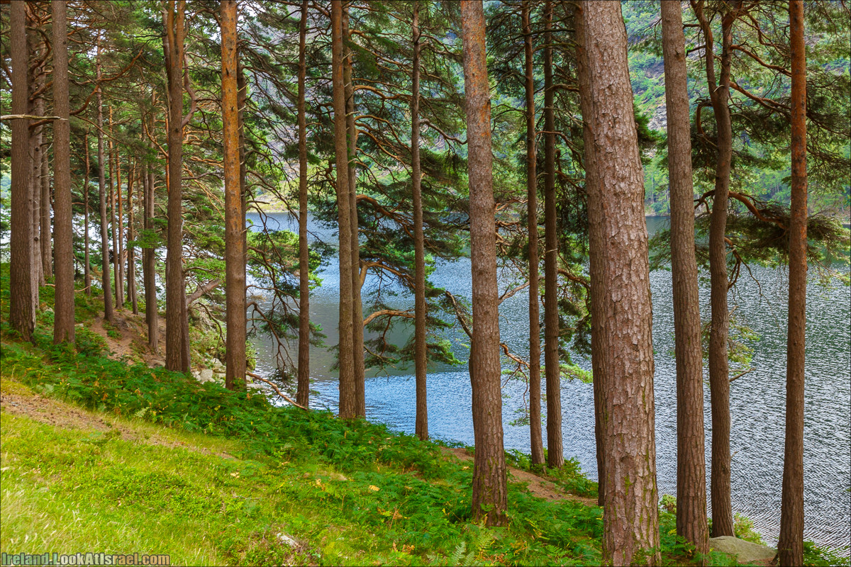 Парк и озера Глендалох | Glendalough | LookAtIsrael.com путешествует по Ирландии