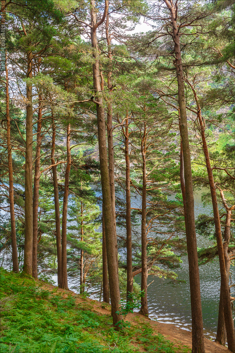 Парк и озера Глендалох | Glendalough | LookAtIsrael.com путешествует по Ирландии