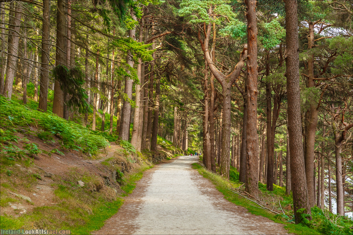 Парк и озера Глендалох | Glendalough | LookAtIsrael.com путешествует по Ирландии