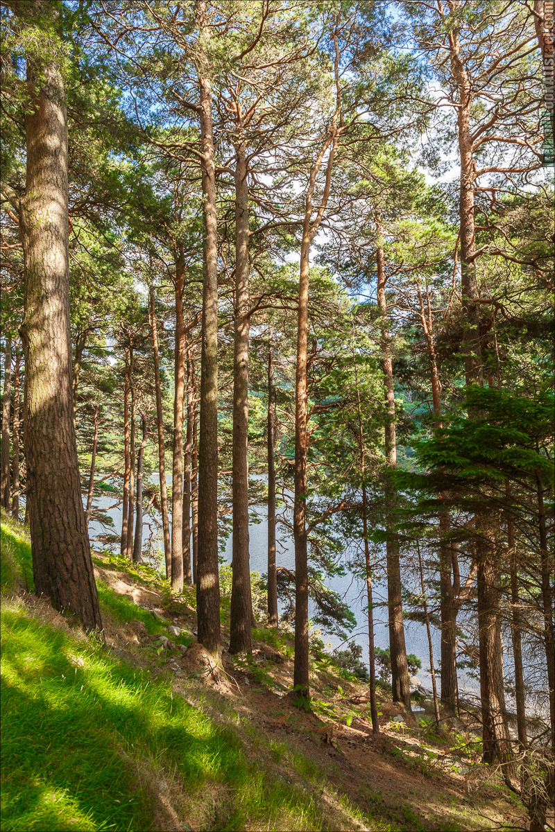 Парк и озера Глендалох | Glendalough | LookAtIsrael.com путешествует по Ирландии