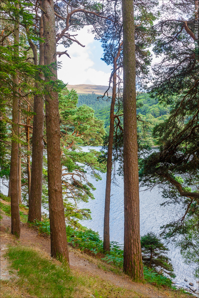 Парк и озера Глендалох | Glendalough | LookAtIsrael.com путешествует по Ирландии
