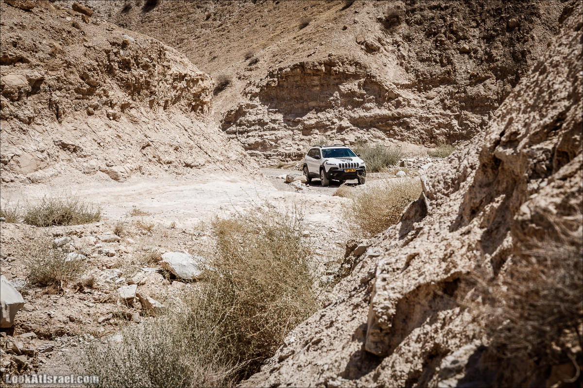 Поездка 4x4 по Иудейской пустыне, Мацок ha-Этеким | מצוק העתקים טיול ג׳יפים | LookAtIsrael.com - Фото путешествия по Израилю
