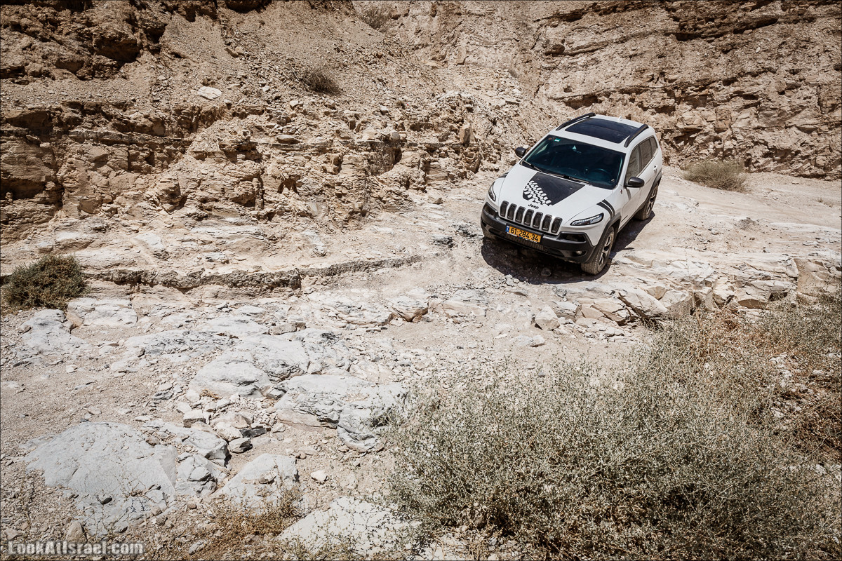 Поездка 4x4 по Иудейской пустыне, Мацок ha-Этеким | מצוק העתקים טיול ג׳יפים | LookAtIsrael.com - Фото путешествия по Израилю