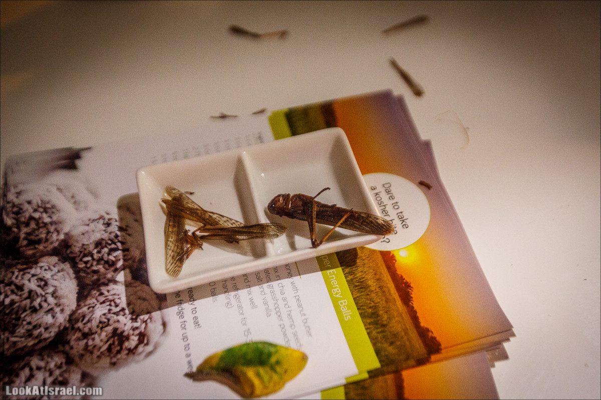 Фестиваль технологий TLV DLD 2018 | שדרות החדשנות ברוטשילד, תל אביב | LookAtIsrael.com - Фото путешествия по Израилю