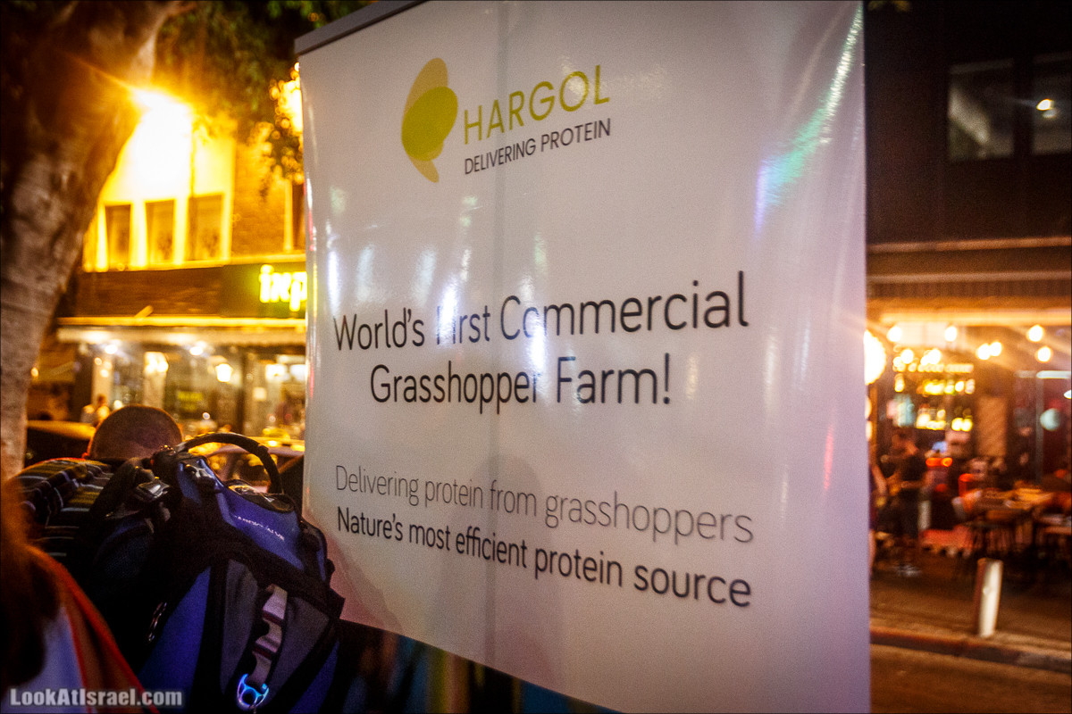 Фестиваль технологий TLV DLD 2018 | שדרות החדשנות ברוטשילד, תל אביב | LookAtIsrael.com - Фото путешествия по Израилю