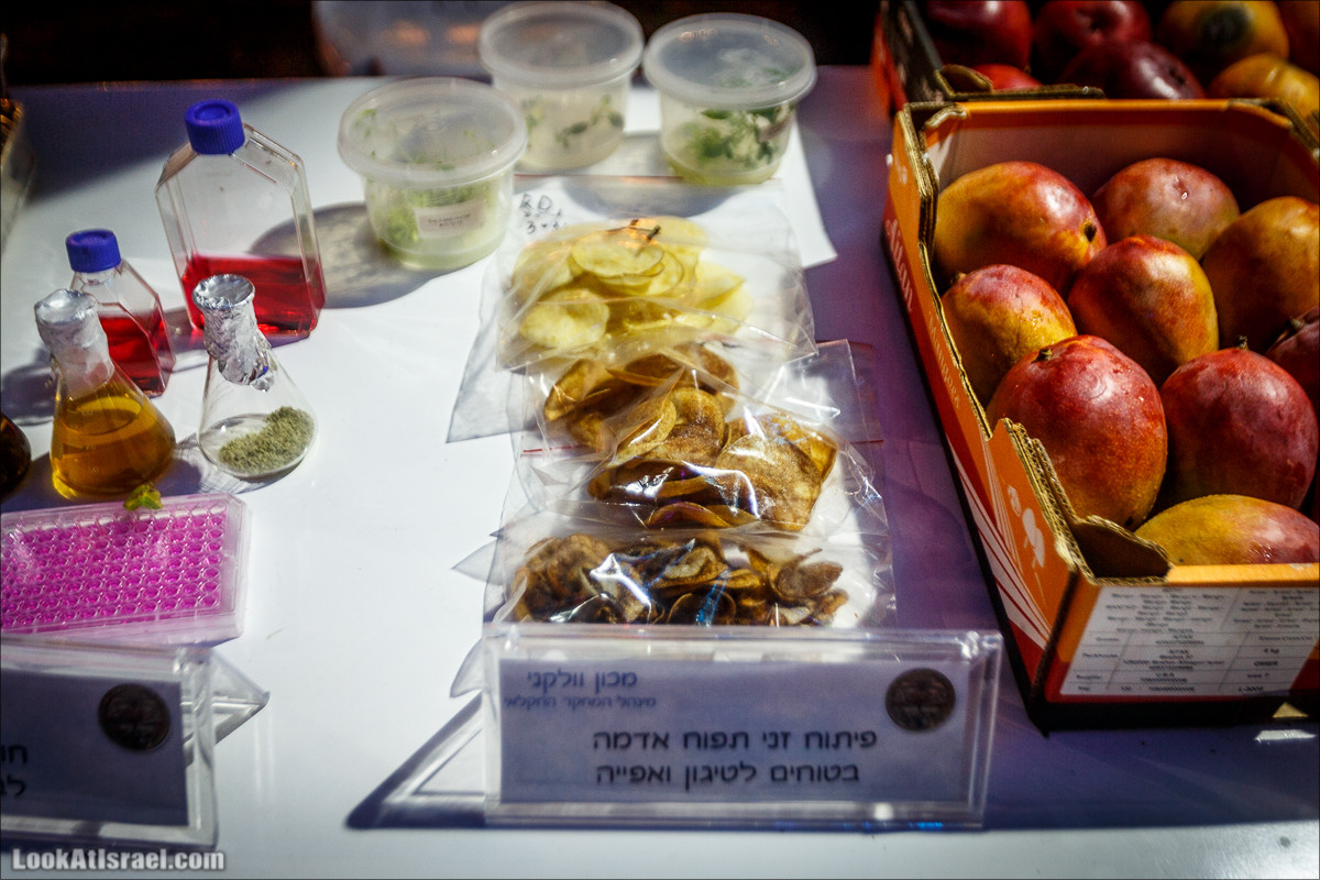 Фестиваль технологий TLV DLD 2018 | שדרות החדשנות ברוטשילד, תל אביב | LookAtIsrael.com - Фото путешествия по Израилю