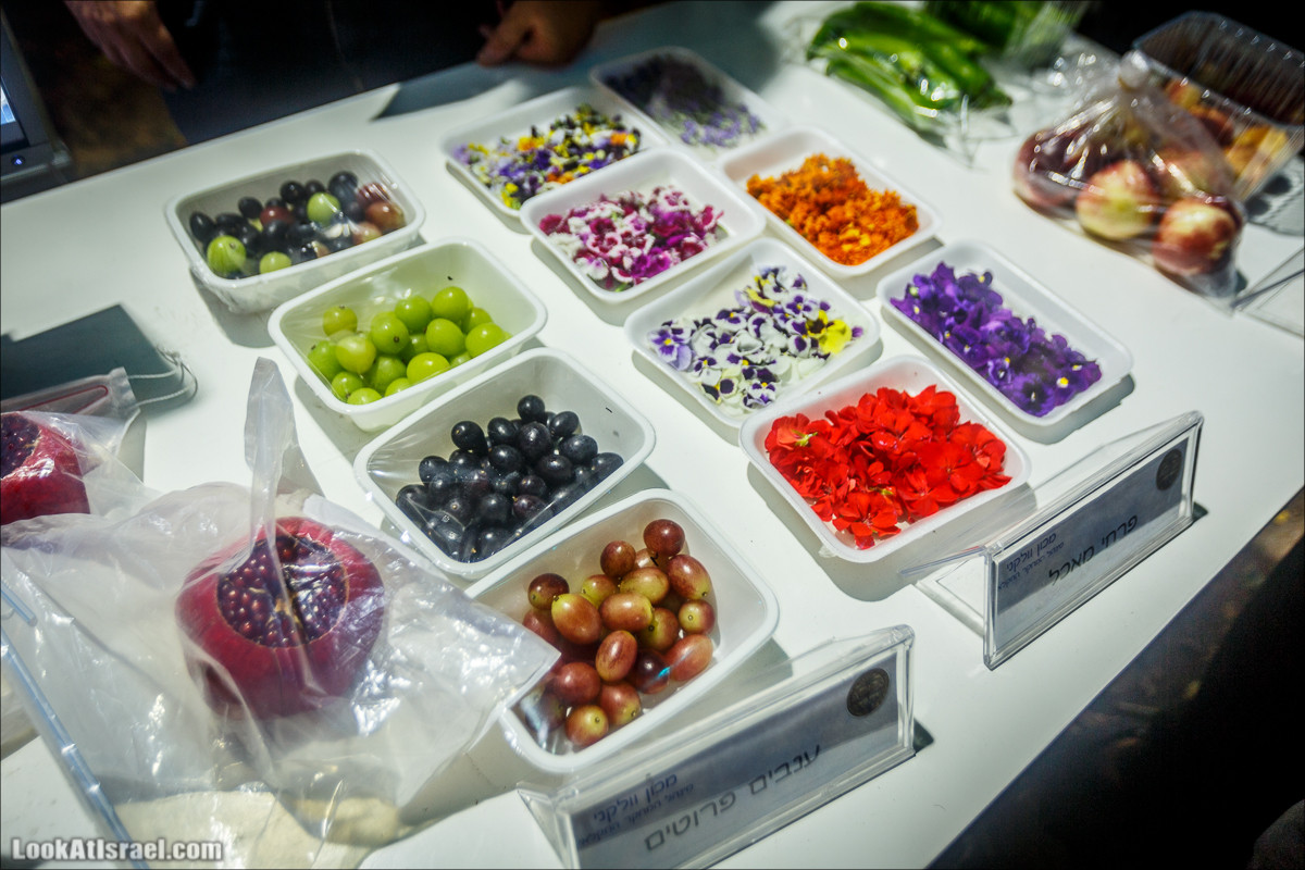 Фестиваль технологий TLV DLD 2018 | שדרות החדשנות ברוטשילד, תל אביב | LookAtIsrael.com - Фото путешествия по Израилю