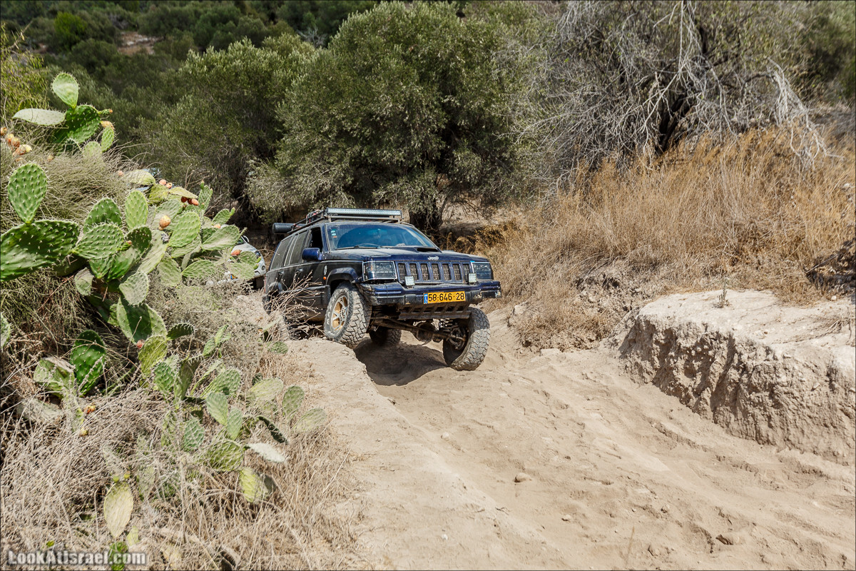 Курс бездорожья | מוסמך שטח שבילים LookAtIsrael.com - Фото путешествия по Израилю