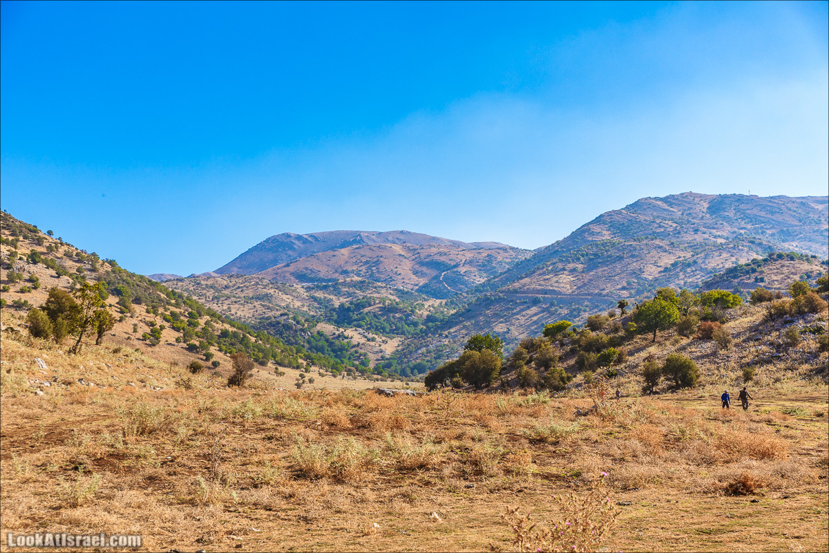 Когда к нам не приходит белочка, то мы идём к ней