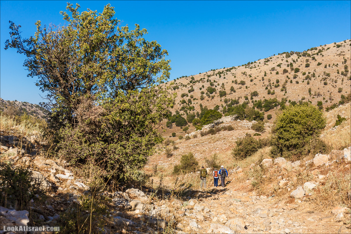 От Хермона к Неве Атив - гора Кахаль, Снаим, итурейский храм и пещеры свинцовой руды LookAtIsrael.com - Фото путешествия по Израилю