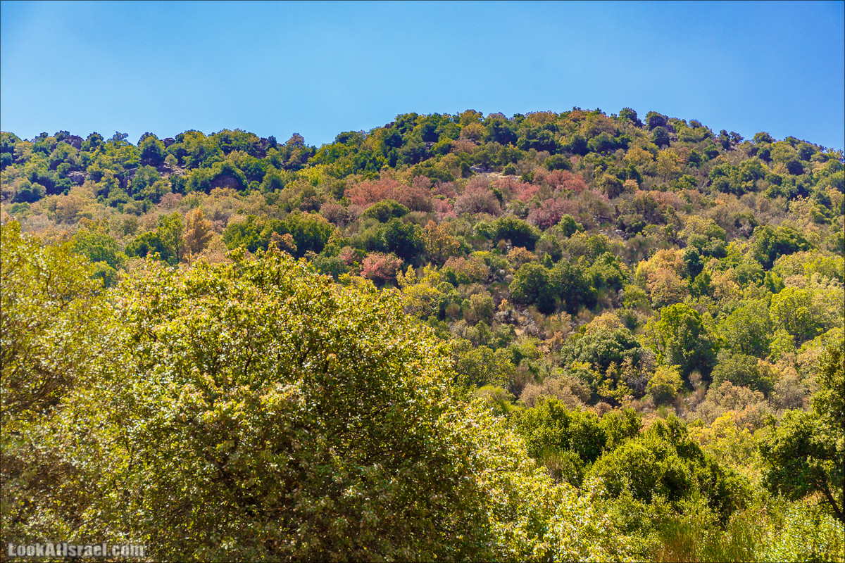 От Хермона к Неве Атив - гора Кахаль, Снаим, итурейский храм и пещеры свинцовой руды LookAtIsrael.com - Фото путешествия по Израилю