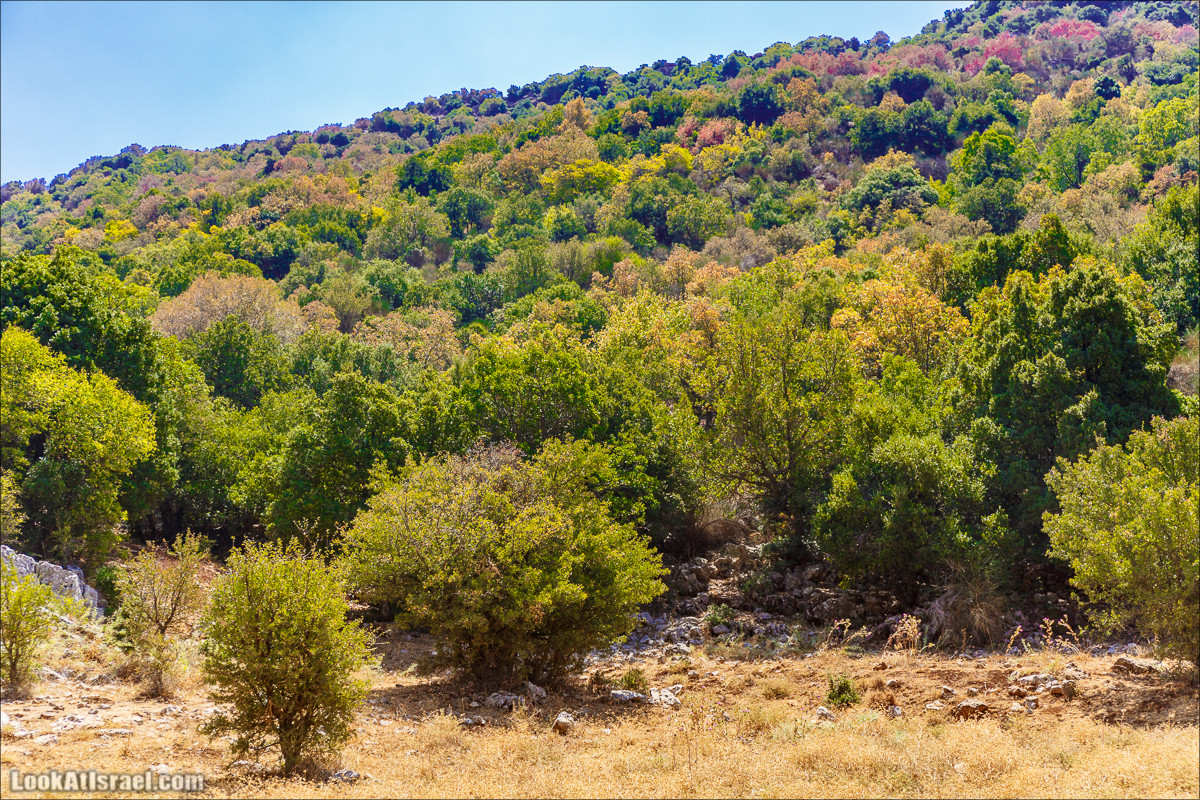 От Хермона к Неве Атив - гора Кахаль, Снаим, итурейский храм и пещеры свинцовой руды LookAtIsrael.com - Фото путешествия по Израилю