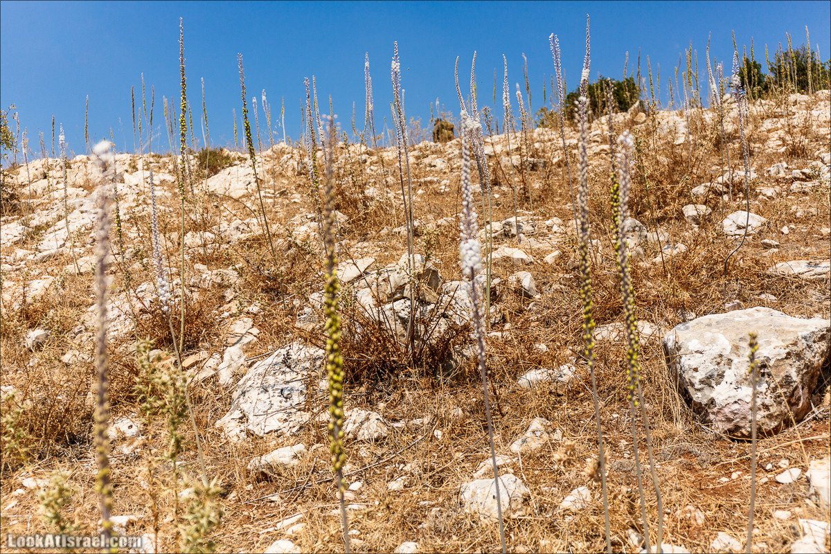От Хермона к Неве Атив - гора Кахаль, Снаим, итурейский храм и пещеры свинцовой руды LookAtIsrael.com - Фото путешествия по Израилю